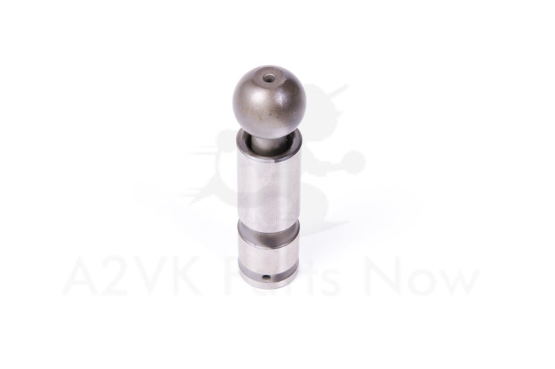 Rexroth Piston, A2VK55